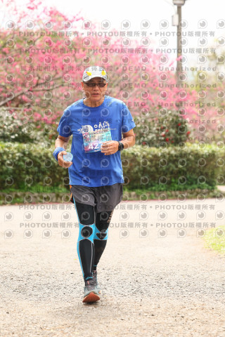 2026左岸竹東櫻花馬拉松Zhudong Sakura Marathon