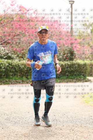 2026左岸竹東櫻花馬拉松Zhudong Sakura Marathon
