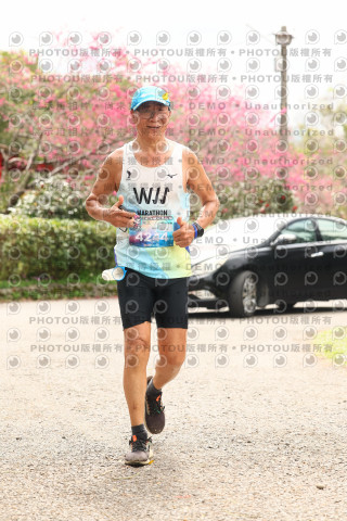 2026左岸竹東櫻花馬拉松Zhudong Sakura Marathon
