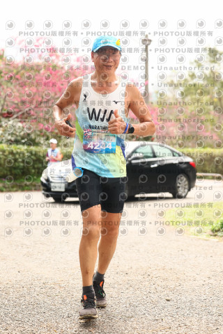 2026左岸竹東櫻花馬拉松Zhudong Sakura Marathon