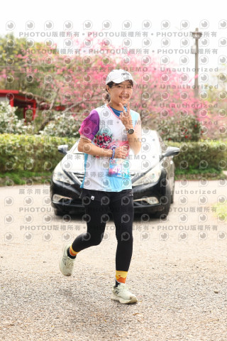 2026左岸竹東櫻花馬拉松Zhudong Sakura Marathon