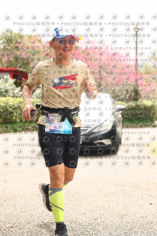 2026左岸竹東櫻花馬拉松Zhudong Sakura Marathon