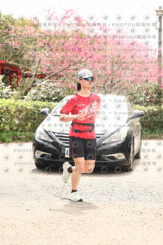 2026左岸竹東櫻花馬拉松Zhudong Sakura Marathon