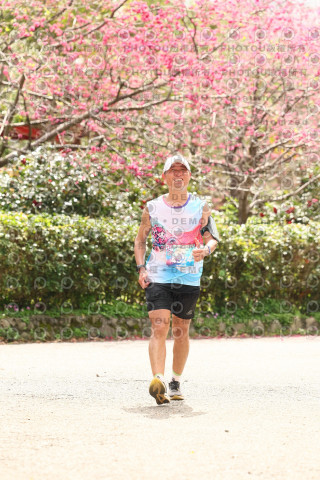 2026左岸竹東櫻花馬拉松Zhudong Sakura Marathon