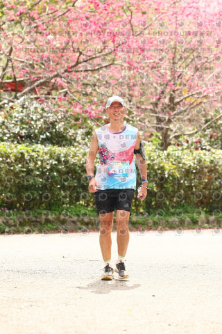 2026左岸竹東櫻花馬拉松Zhudong Sakura Marathon