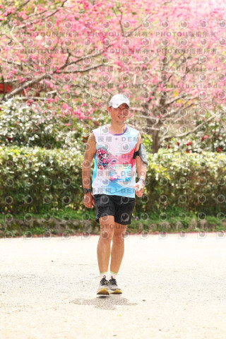 2026左岸竹東櫻花馬拉松Zhudong Sakura Marathon