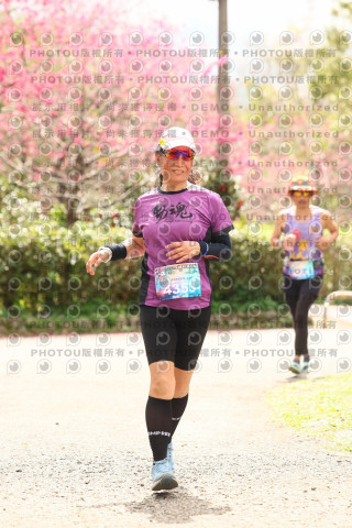 2026左岸竹東櫻花馬拉松Zhudong Sakura Marathon