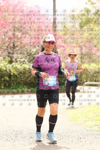 2026左岸竹東櫻花馬拉松Zhudong Sakura Marathon