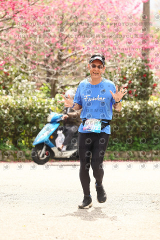 2026左岸竹東櫻花馬拉松Zhudong Sakura Marathon