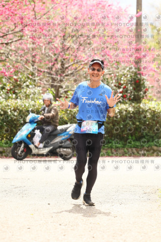 2026左岸竹東櫻花馬拉松Zhudong Sakura Marathon