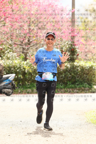 2026左岸竹東櫻花馬拉松Zhudong Sakura Marathon