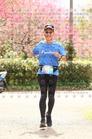 2026左岸竹東櫻花馬拉松Zhudong Sakura Marathon