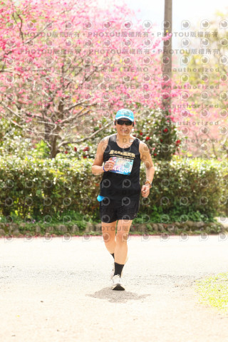 2026左岸竹東櫻花馬拉松Zhudong Sakura Marathon