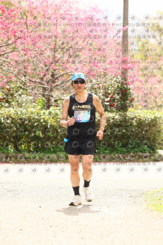 2026左岸竹東櫻花馬拉松Zhudong Sakura Marathon