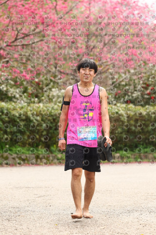 2026左岸竹東櫻花馬拉松Zhudong Sakura Marathon