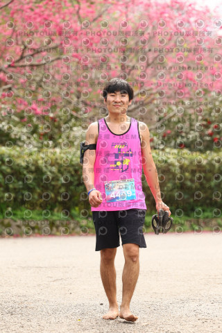 2026左岸竹東櫻花馬拉松Zhudong Sakura Marathon