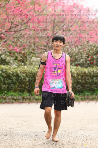 2026左岸竹東櫻花馬拉松Zhudong Sakura Marathon