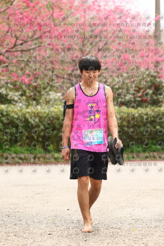2026左岸竹東櫻花馬拉松Zhudong Sakura Marathon
