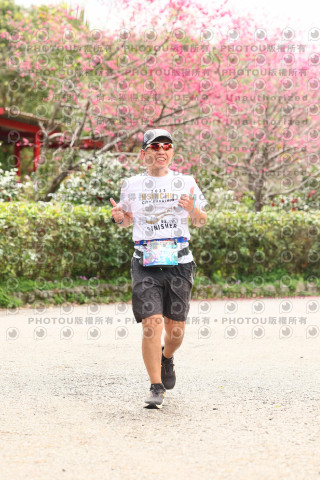 2026左岸竹東櫻花馬拉松Zhudong Sakura Marathon
