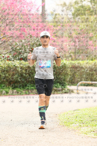2026左岸竹東櫻花馬拉松Zhudong Sakura Marathon