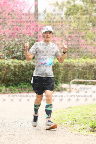2026左岸竹東櫻花馬拉松Zhudong Sakura Marathon