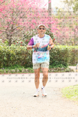 2026左岸竹東櫻花馬拉松Zhudong Sakura Marathon