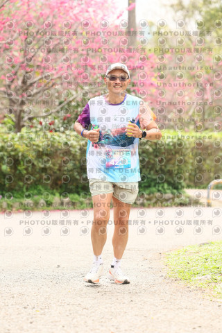 2026左岸竹東櫻花馬拉松Zhudong Sakura Marathon