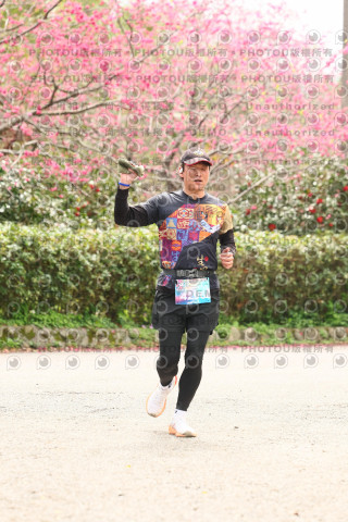 2026左岸竹東櫻花馬拉松Zhudong Sakura Marathon