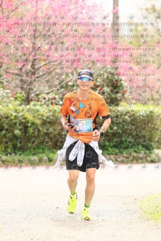 2026左岸竹東櫻花馬拉松Zhudong Sakura Marathon