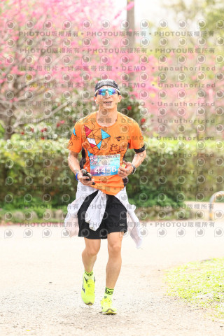 2026左岸竹東櫻花馬拉松Zhudong Sakura Marathon