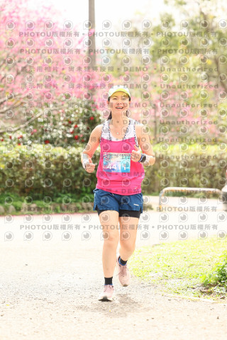 2026左岸竹東櫻花馬拉松Zhudong Sakura Marathon
