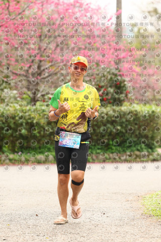 2026左岸竹東櫻花馬拉松Zhudong Sakura Marathon