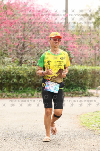 2026左岸竹東櫻花馬拉松Zhudong Sakura Marathon