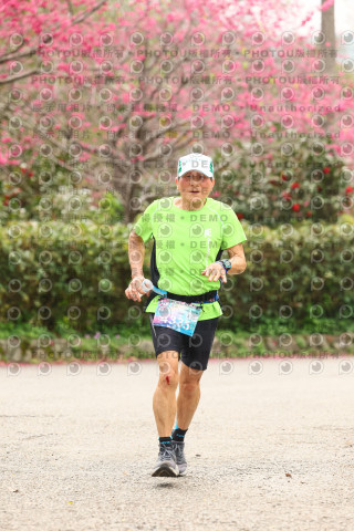 2026左岸竹東櫻花馬拉松Zhudong Sakura Marathon