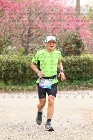 2026左岸竹東櫻花馬拉松Zhudong Sakura Marathon