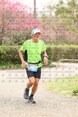 2026左岸竹東櫻花馬拉松Zhudong Sakura Marathon