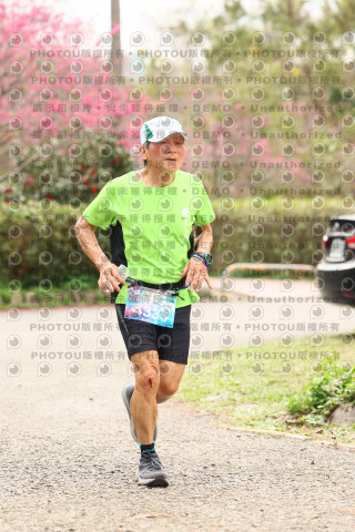 2026左岸竹東櫻花馬拉松Zhudong Sakura Marathon