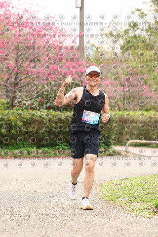 2026左岸竹東櫻花馬拉松Zhudong Sakura Marathon