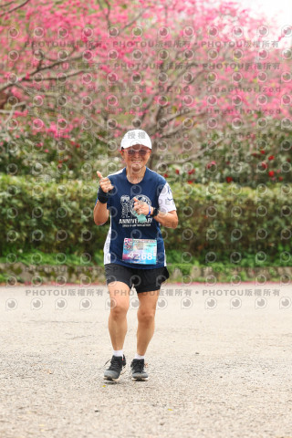 2026左岸竹東櫻花馬拉松Zhudong Sakura Marathon