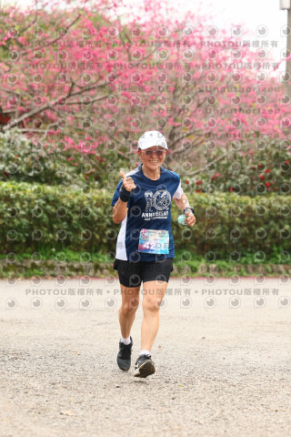 2026左岸竹東櫻花馬拉松Zhudong Sakura Marathon