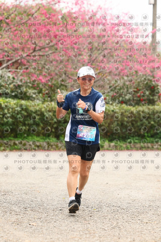 2026左岸竹東櫻花馬拉松Zhudong Sakura Marathon