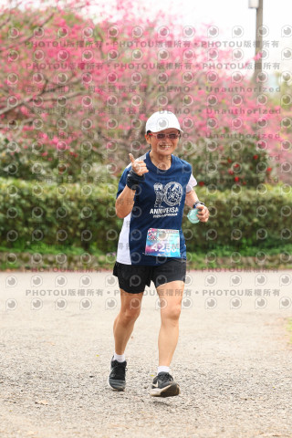 2026左岸竹東櫻花馬拉松Zhudong Sakura Marathon