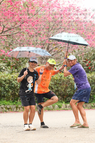 2026左岸竹東櫻花馬拉松Zhudong Sakura Marathon