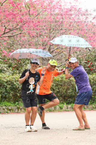 2026左岸竹東櫻花馬拉松Zhudong Sakura Marathon