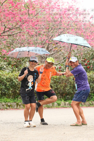 2026左岸竹東櫻花馬拉松Zhudong Sakura Marathon