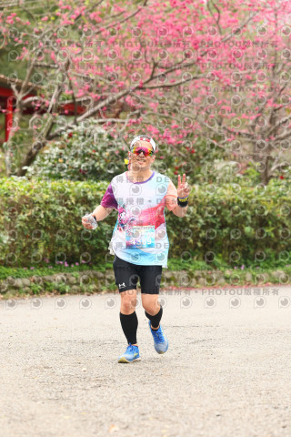 2026左岸竹東櫻花馬拉松Zhudong Sakura Marathon