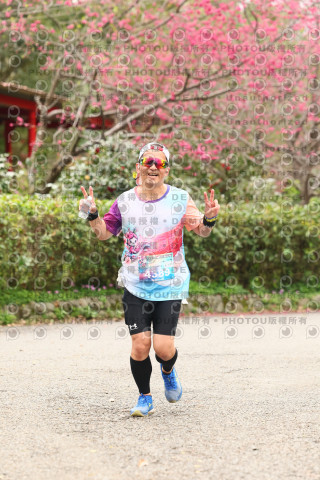 2026左岸竹東櫻花馬拉松Zhudong Sakura Marathon