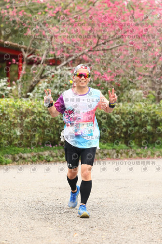 2026左岸竹東櫻花馬拉松Zhudong Sakura Marathon