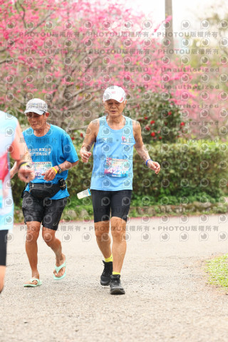 2026左岸竹東櫻花馬拉松Zhudong Sakura Marathon