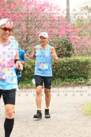 2026左岸竹東櫻花馬拉松Zhudong Sakura Marathon